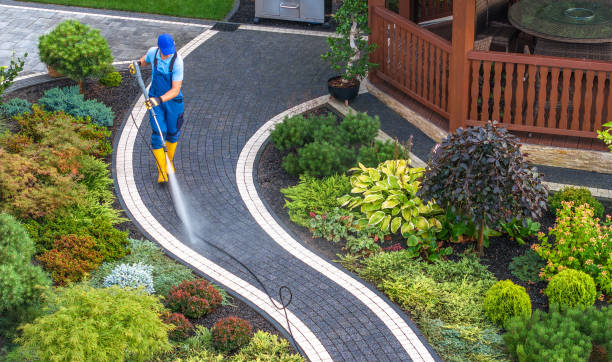 Best Local Pressure Washing Services  in Harmony, PA